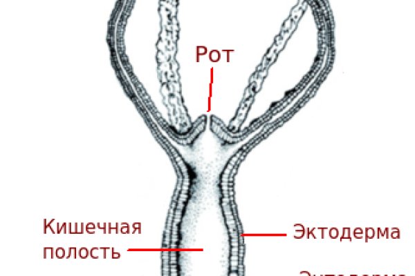 Ссылка на кракен на сегодня