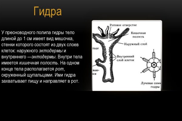 Актуальная ссылка на кракен kraken