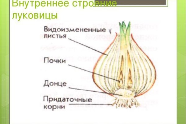 Онион сайты список 2023