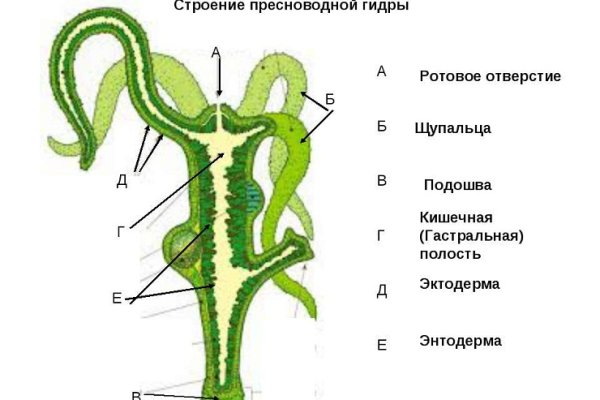 Гидра зеркало